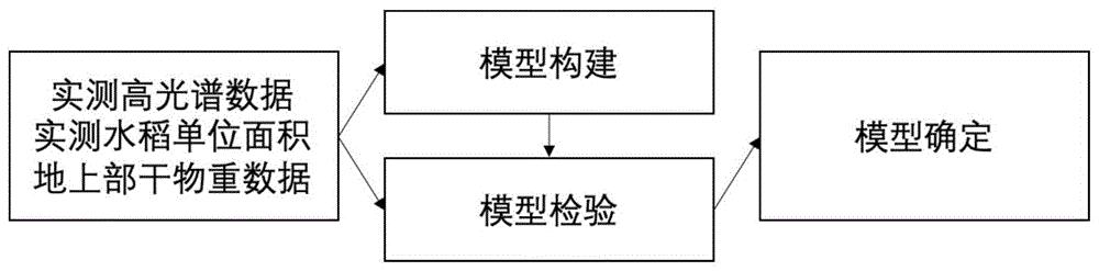 基于高斯过程回归算法的水稻单位面积内地上部干物重遥感反演模型和方法