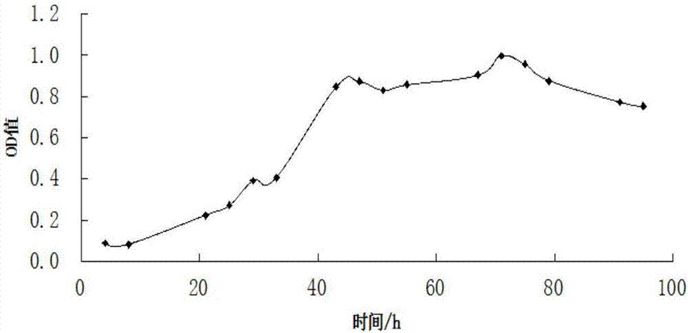 一种耐高糖酵母菌及其应用