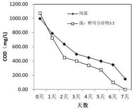 利用酵母分泌物促进微藻降解碳、氮、磷的方法