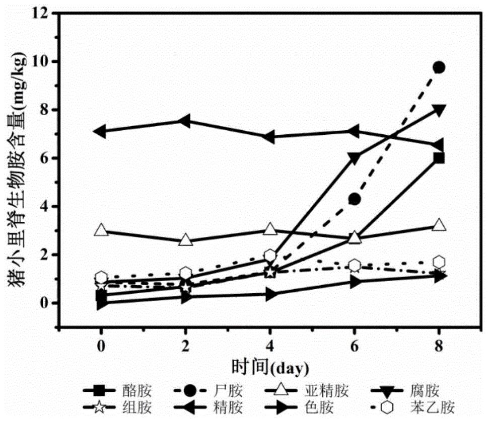 一种基于生物胺的猪肉新鲜度评价方法