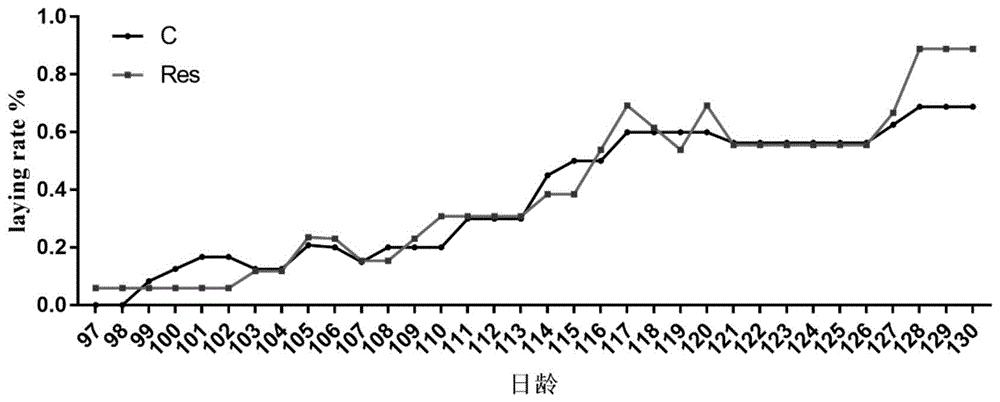 一种促进蛋禽卵巢发育的方法、蛋禽饲料及其制备方法