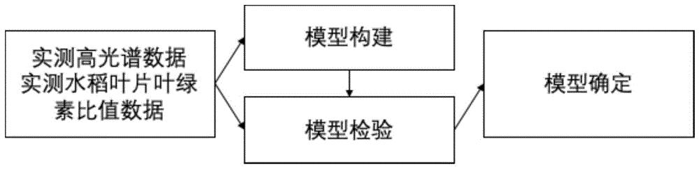 基于Huber回归算法的水稻叶片叶绿素含量比值遥感反演模型和方法