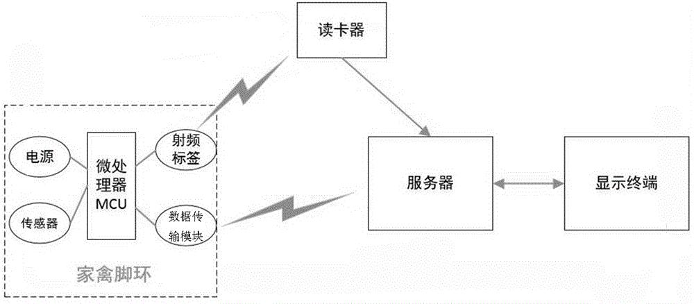 一种基于大数据分析的家禽行为分析系统