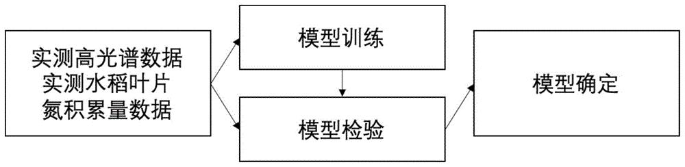 基于LassoLars回归算法的水稻叶片氮积累量遥感反演模型和方法