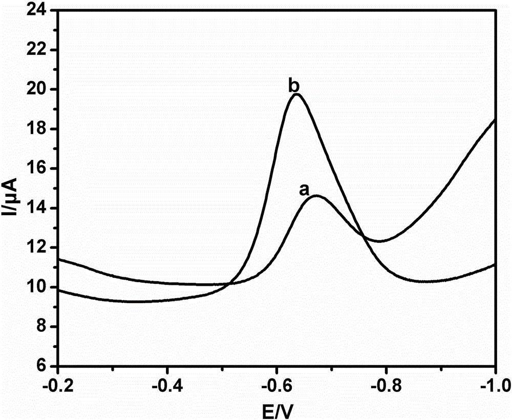 一种过氧化聚多巴胺修饰电极以及基于该电极的氯霉素电化学检测方法