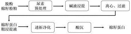 一种精制棉籽蛋白的方法