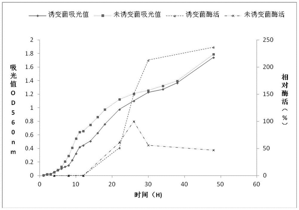 一种高产淀粉酶的扣囊复膜酵母菌株及其制备方法和应用