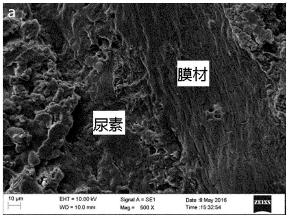 一种用于制备保水型包膜尿素的预聚液以及利用预聚液制备保水型包膜尿素的方法