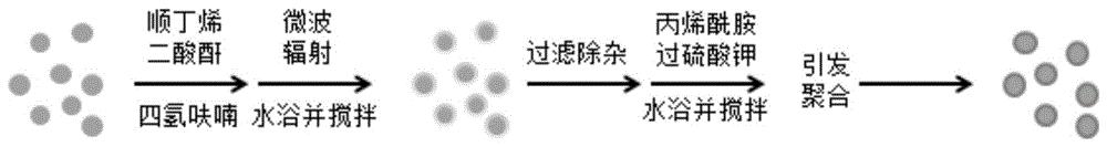 一种丙烯酰胺-马来酸酐接枝共聚改性花生壳及其制备方法和作为重金属离子吸附剂的应用