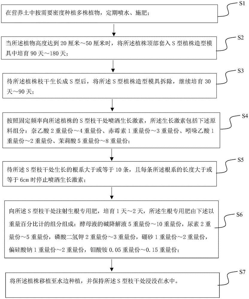 植物造型方法