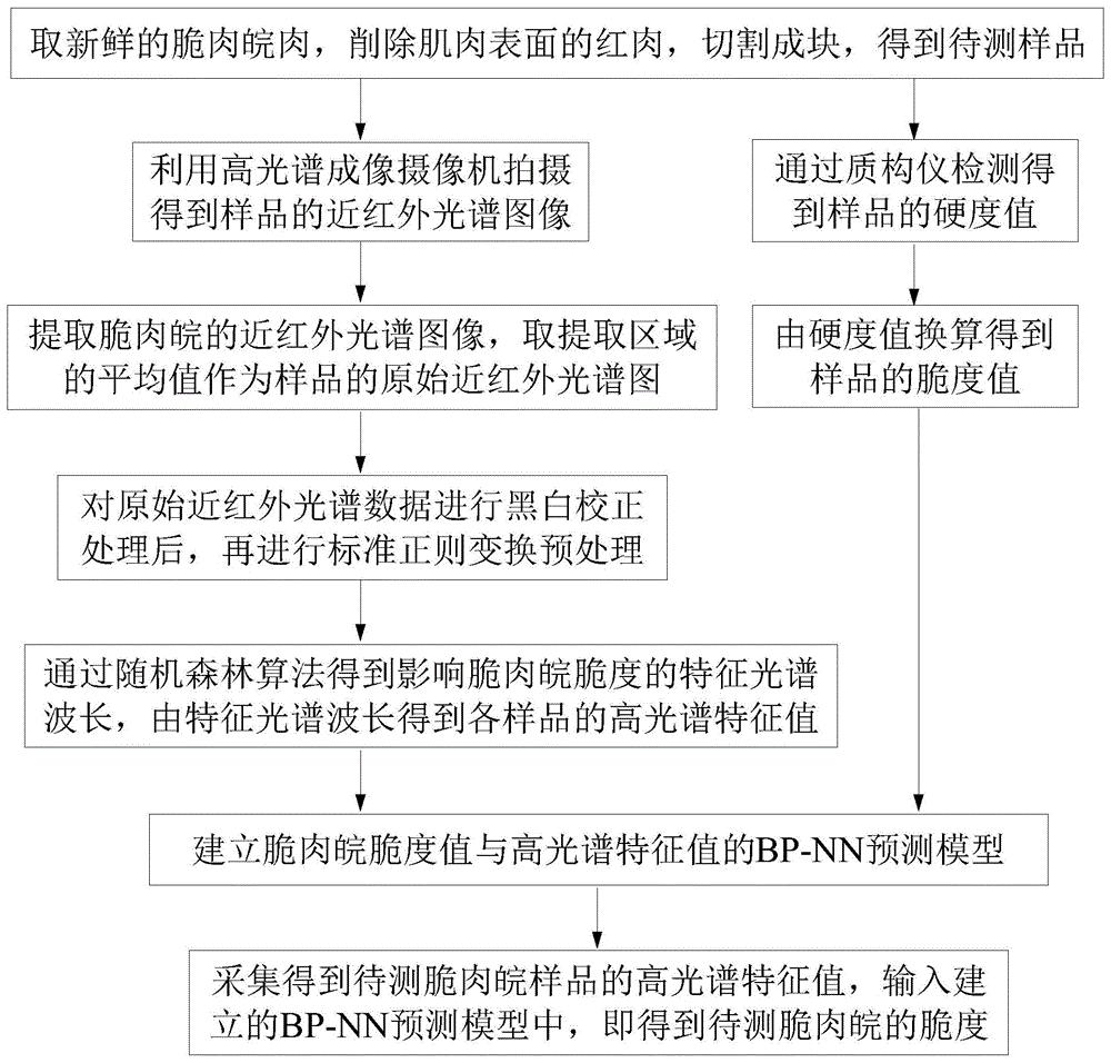 基于可见-近红外高光谱技术的脆肉皖脆度预测方法