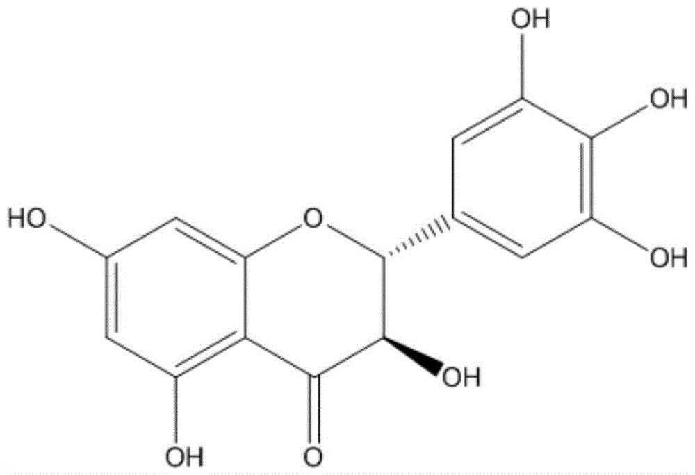 藤茶中二氢杨梅素的螯合提取方法及应用