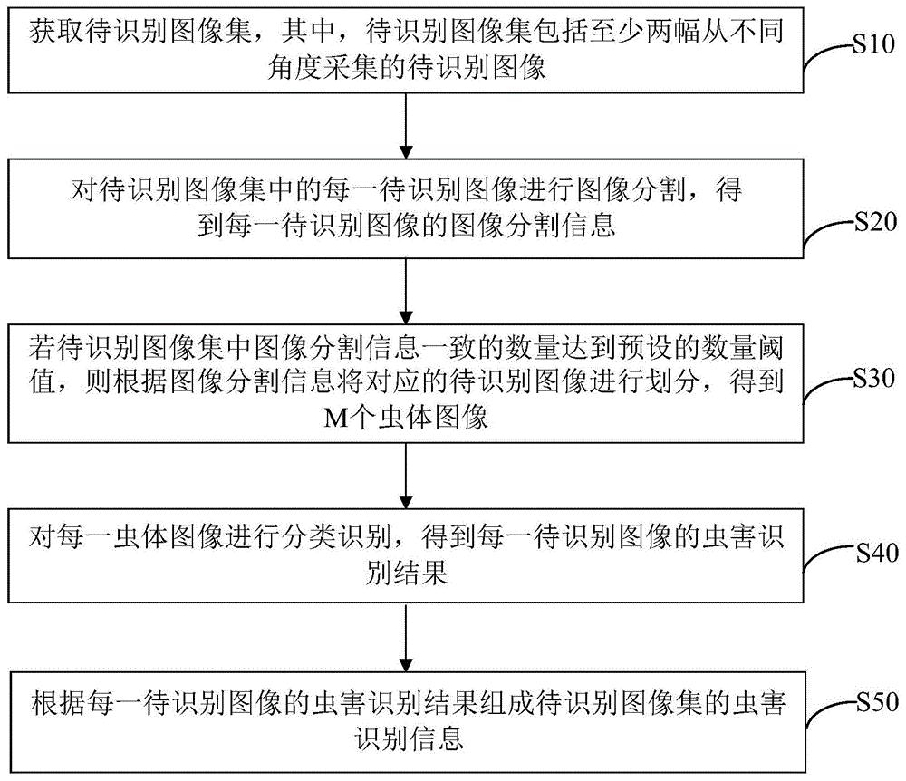 虫害识别方法、装置、计算机设备及存储介质