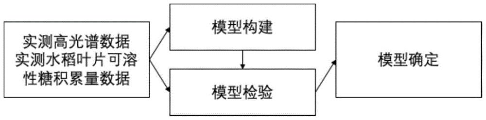 基于LightGBM回归算法的水稻叶片可溶性糖积累量遥感反演模型和方法