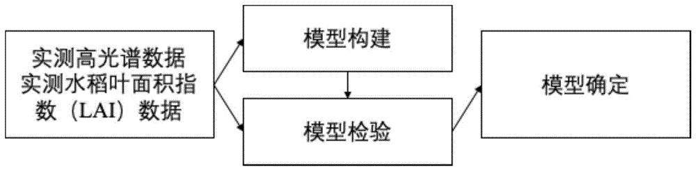 基于ARD回归算法的水稻叶面积指数遥感反演模型和方法