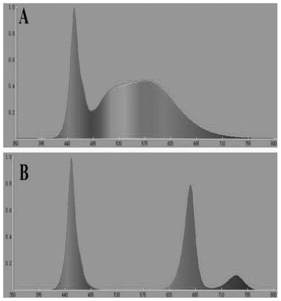 一种增大菊花直径及提升花色的LED光配方及其应用