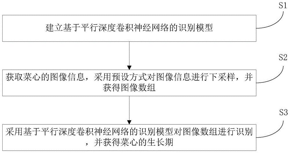 基于神经网络的菜心生长期的识别方法、系统和存储介质