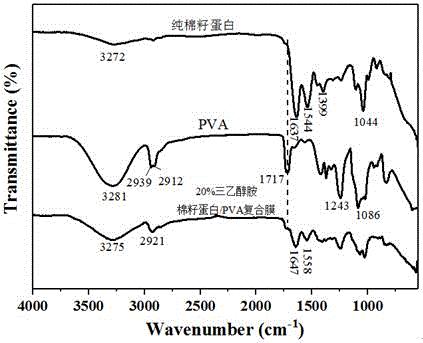 一种高韧性棉籽蛋白基复合膜的制备方法