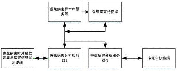 一种基于人工智能的香蕉病害在线识别系统