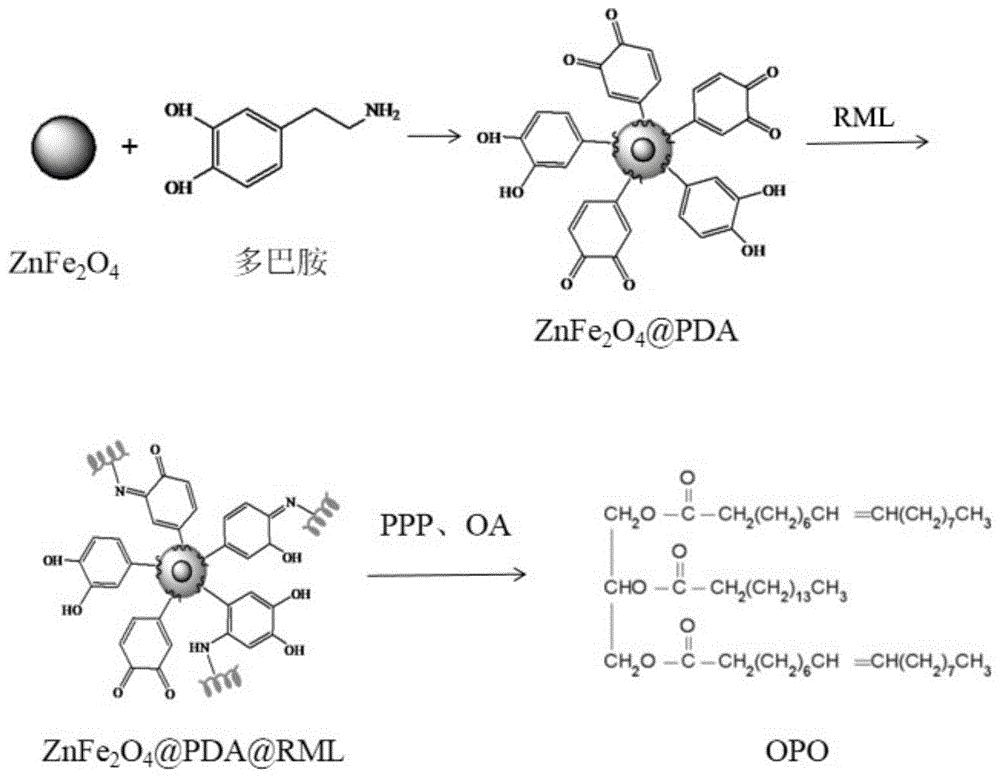 一种固定化酶及其制备方法与在OPO制备中的应用