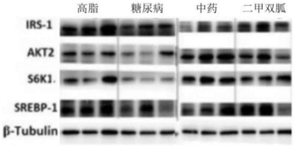 一种具有活血、降糖和降脂功效的中药组合物及制备方法