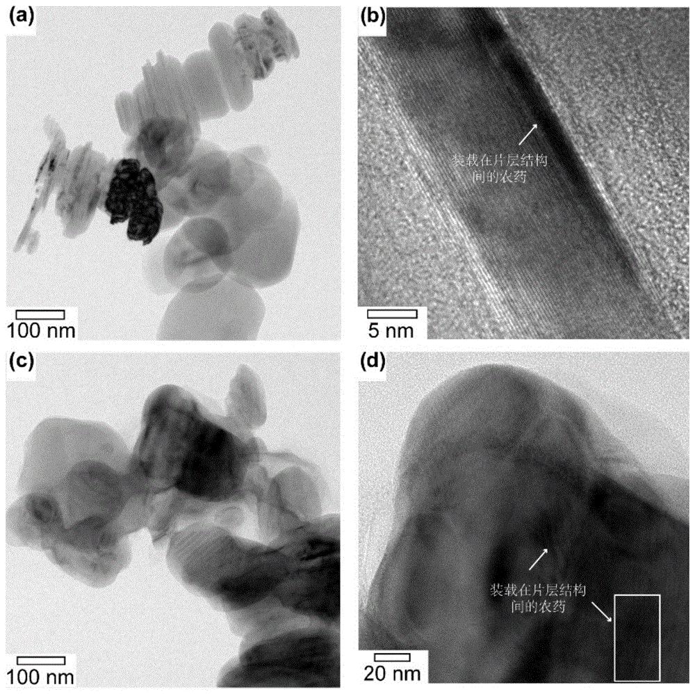 一种基于氮化硼纳米片接枝亲水高分子的纳米农药制剂及其制备方法