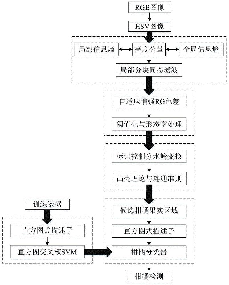 一种树上柑橘果实检测方法