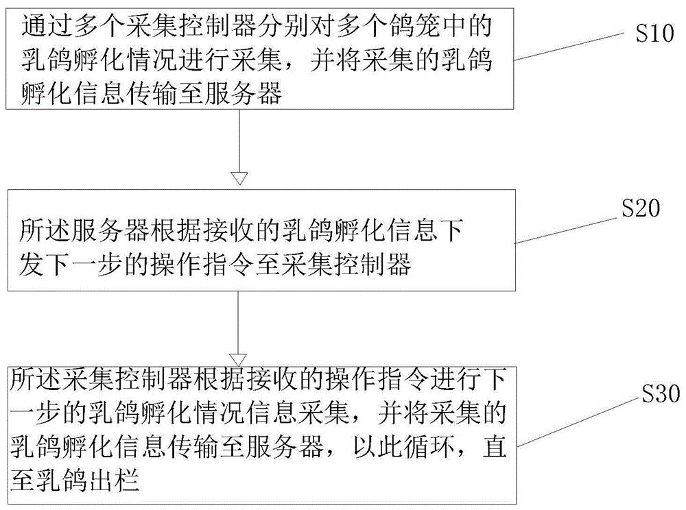 一种乳鸽孵化信息采集系统及采集方法