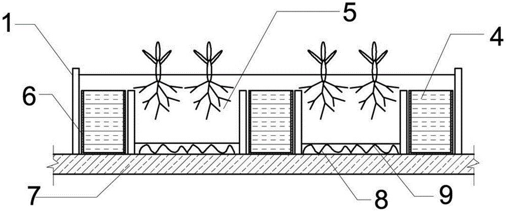 一种可贮水屋顶种植池