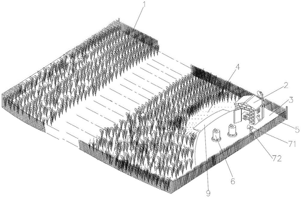 一种有机稻田的智能养鸭系统