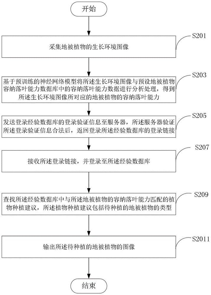 基于神经网络提取地被植物容纳落叶能力的方法及装置