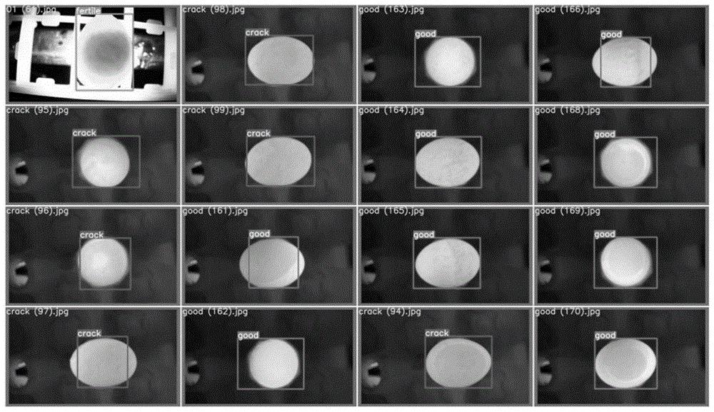一种鸽蛋品质识别方法
