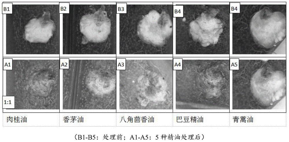 一种防治白盾蚧类害虫的农药增效剂和农药组合物