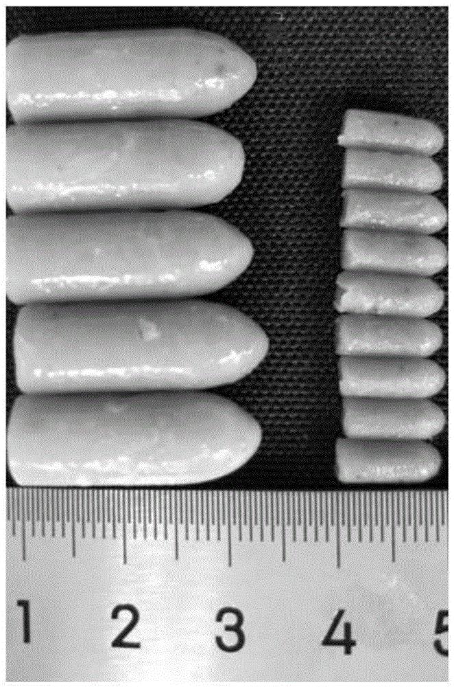 一种用于香蕉抗病增产的微生物栓剂及其制备方法和应用