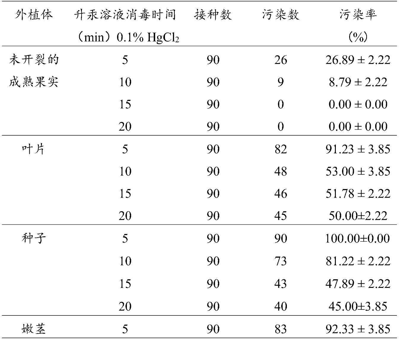 一种用于再生虎克姜花植株的系列培养基及其应用