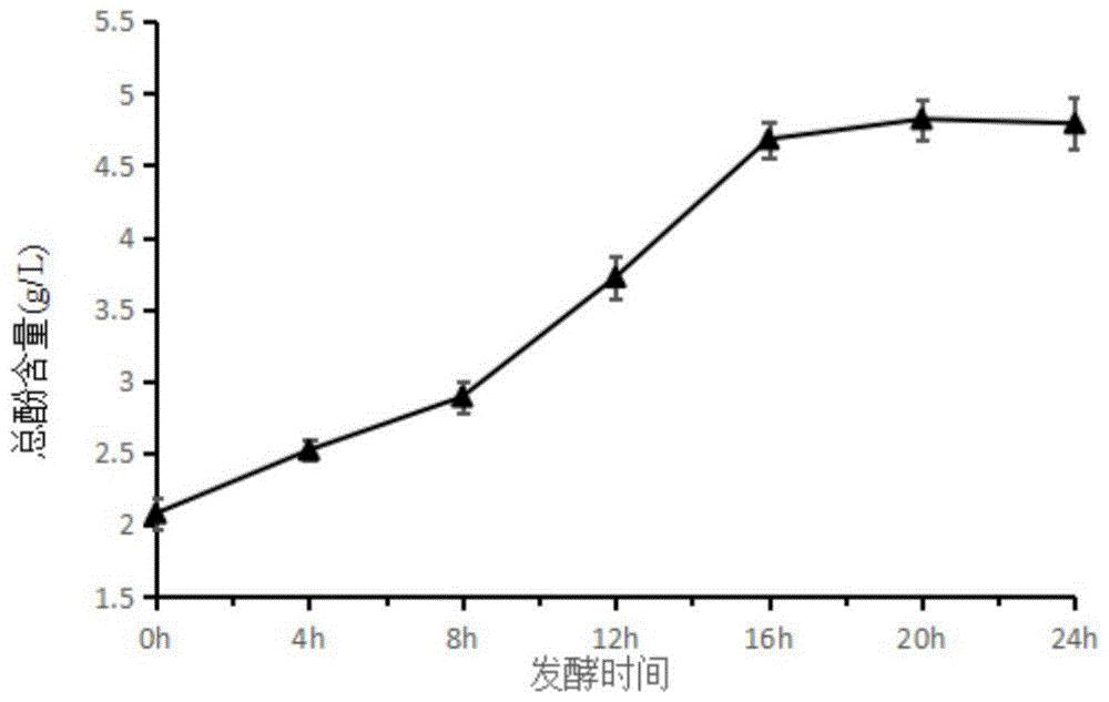 一种覆盆子发酵乳酸菌及富含多酚覆盆子发酵饮料的制备