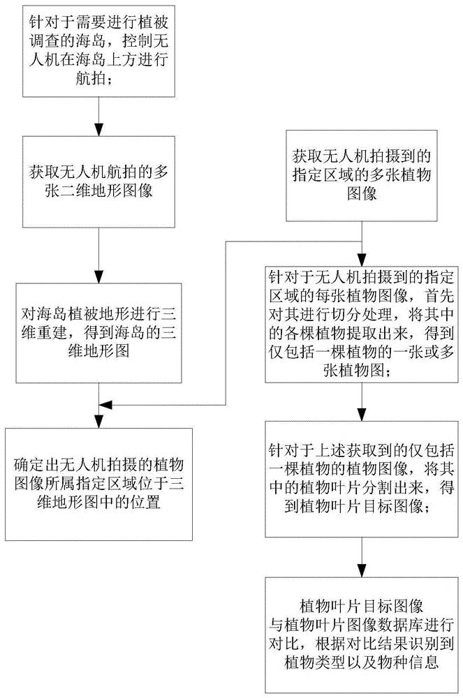 海岛环境下的植被调查方法、装置、系统、设备和介质